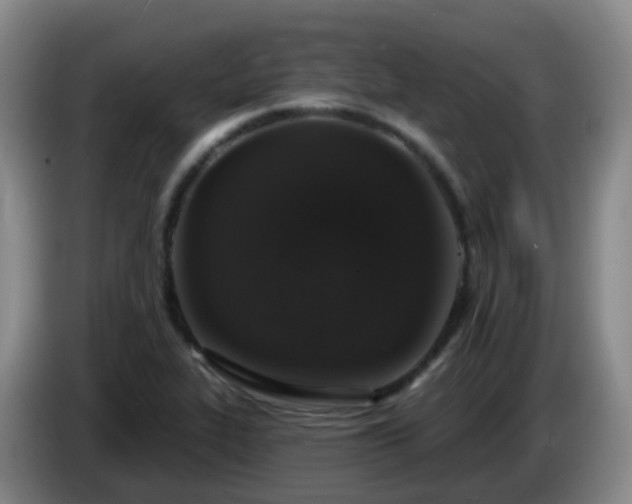 X0000085081319200703121655