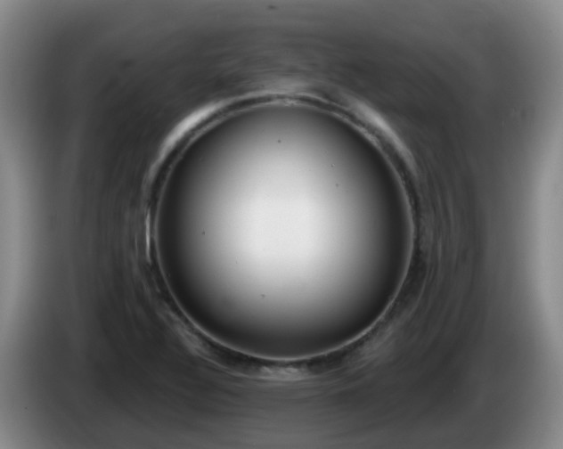 X0000085081320200703121655