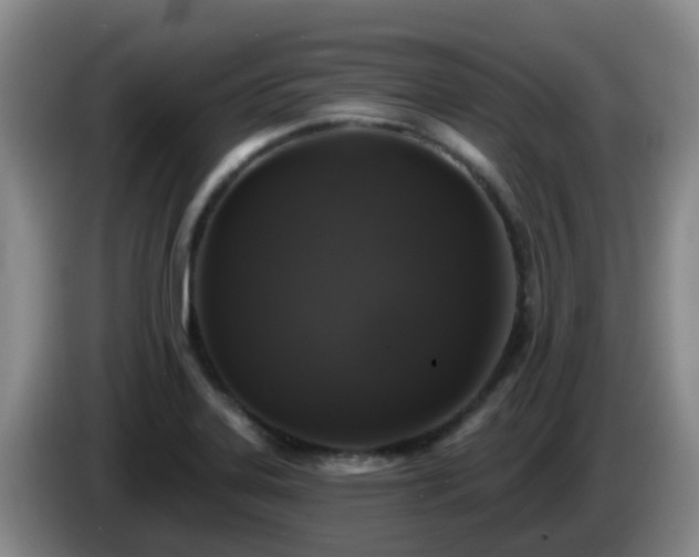 X0000085081323200703121655