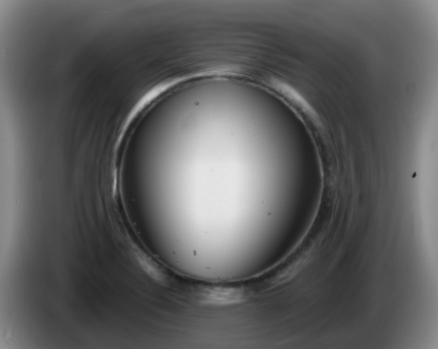 X0000085081324200703121655