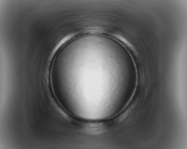 X0000085081325200703121655