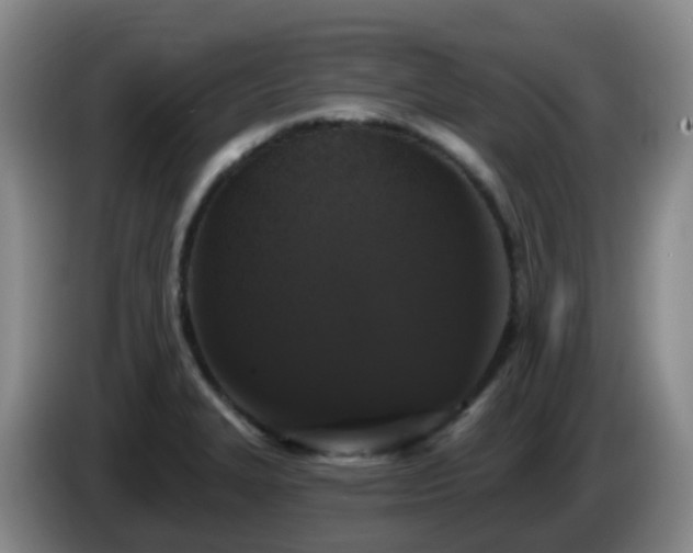 X0000085081327200703121655