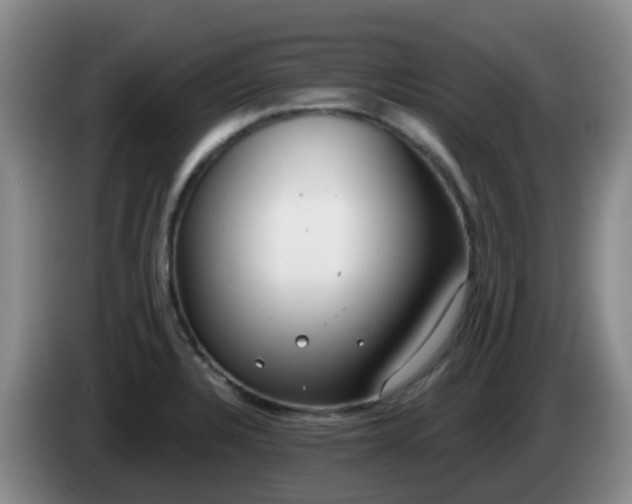 X0000085081328200703121655