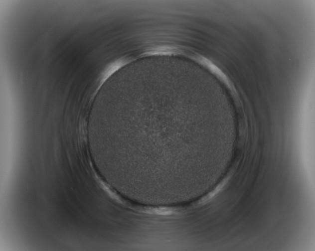 X0000085081329200703121655