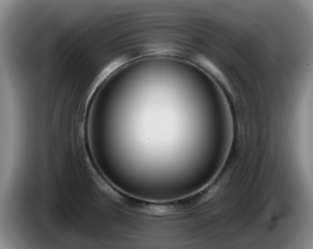 X0000085081330200703121655