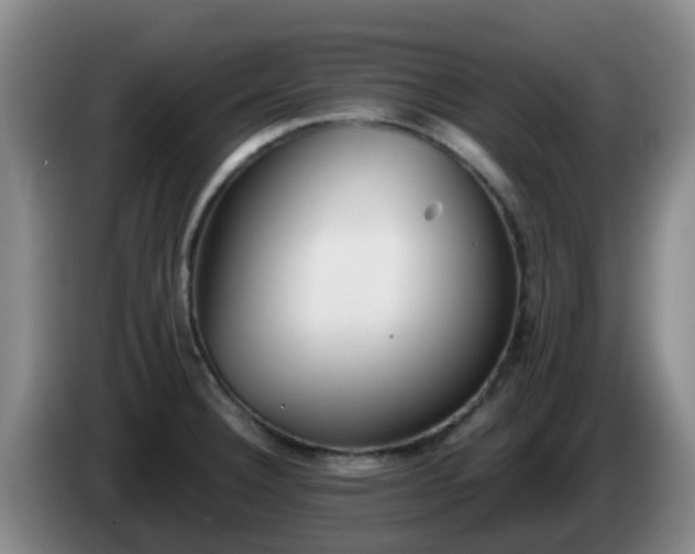 X0000085081332200703121655