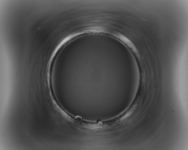 X0000085081334200703121655