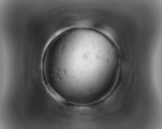 X0000085081335200703121655