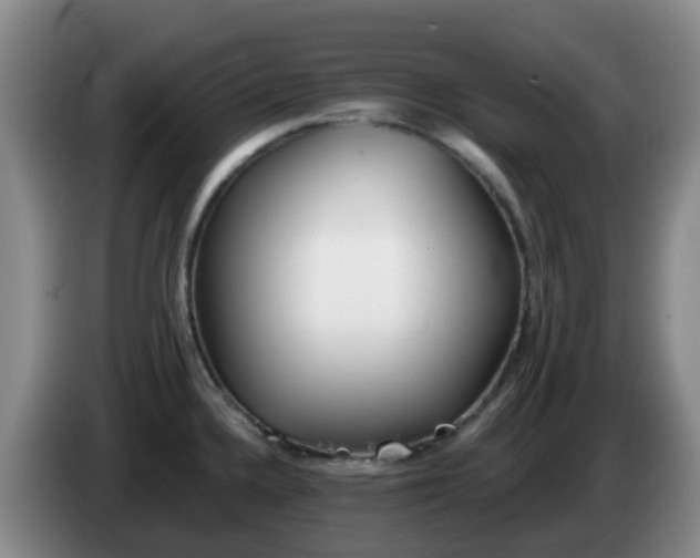 X0000085081336200703121655