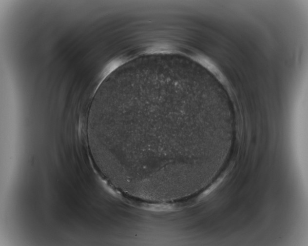 X0000085081337200703121655