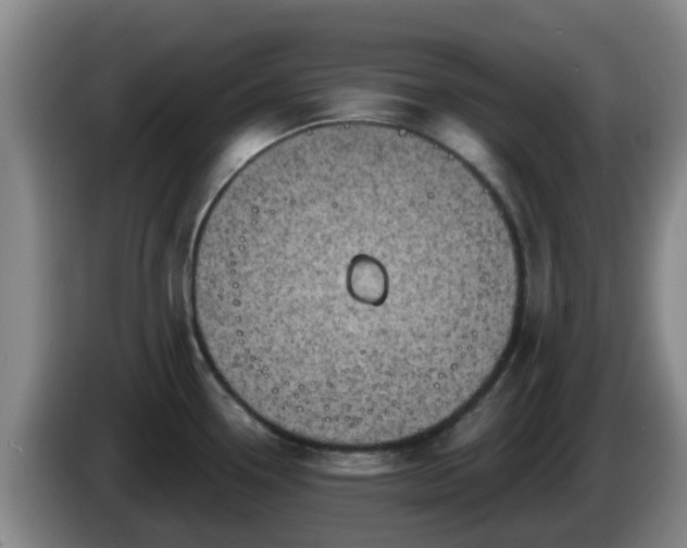 X0000085081338200703121655