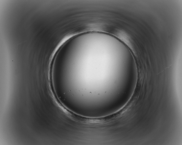 X0000085081339200703121655