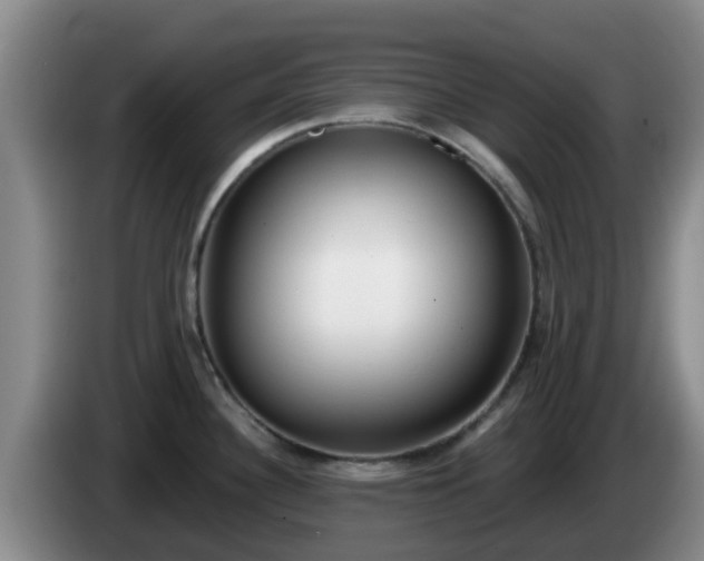 X0000085081340200703121655