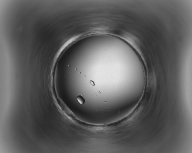 X0000085081341200703121655