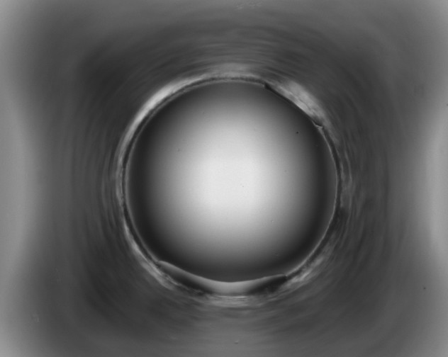 X0000085081342200703121655