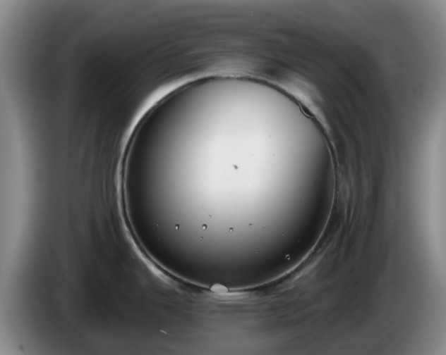 X0000085081343200703121655