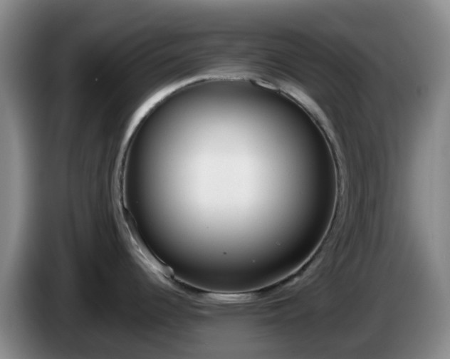 X0000085081344200703121655