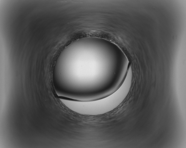 X0000085081345200703121654