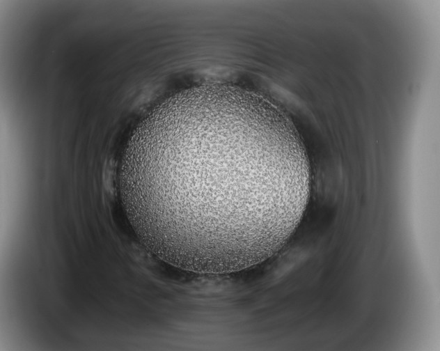 X0000085081346200703121654