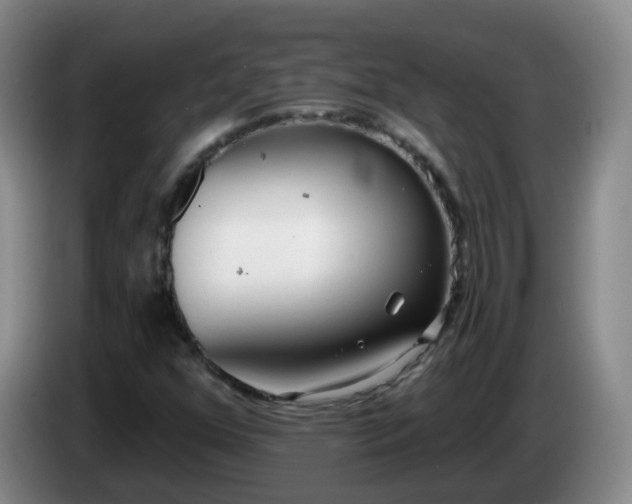 X0000085081352200703121654