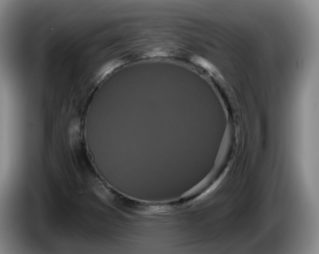 X0000085081353200703121654