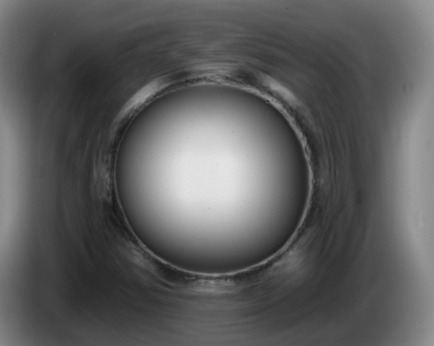 X0000085081354200703121654