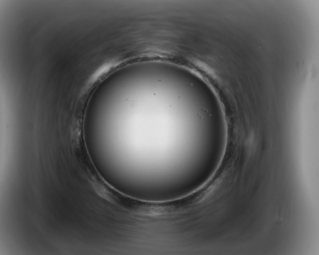 X0000085081355200703121654