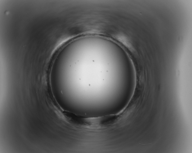 X0000085081356200703121654