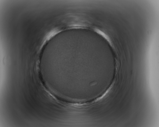 X0000085081357200703121654