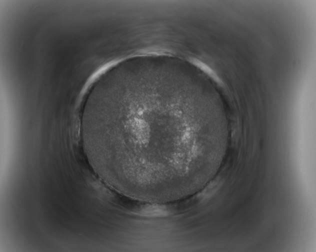 X0000085081358200703121654