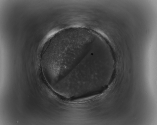 X0000085081359200703121654