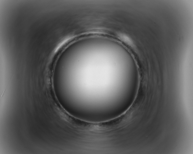 X0000085081360200703121654