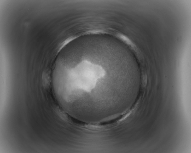 X0000085081361200703121654