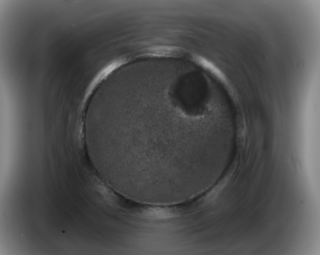 X0000085081362200703121654