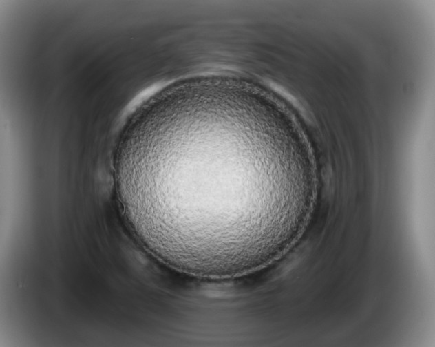 X0000085081363200703121654