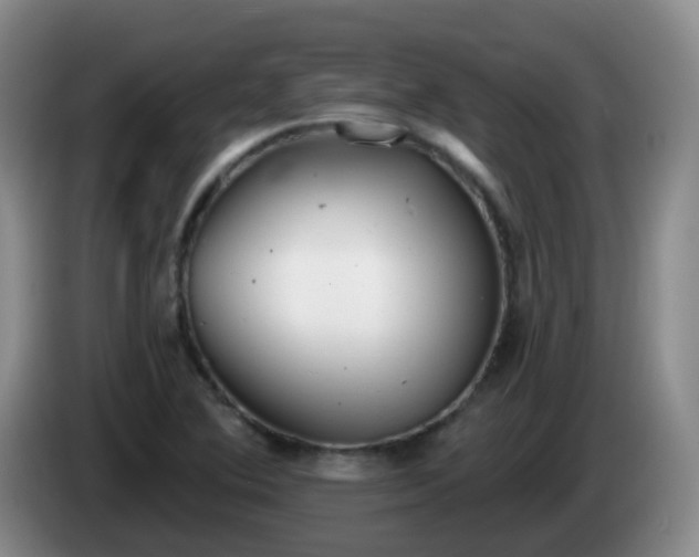 X0000085081364200703121654