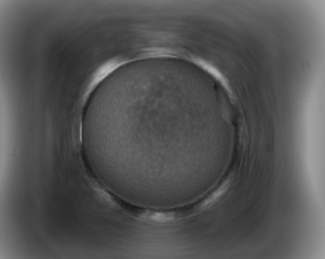 X0000085081365200703121654