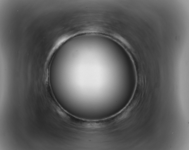 X0000085081366200703121654