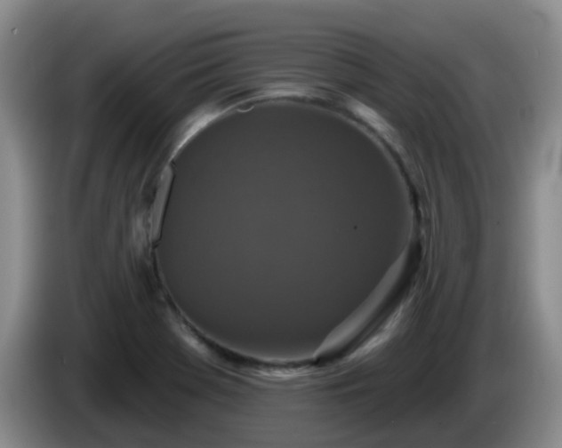 X0000085081369200703121654