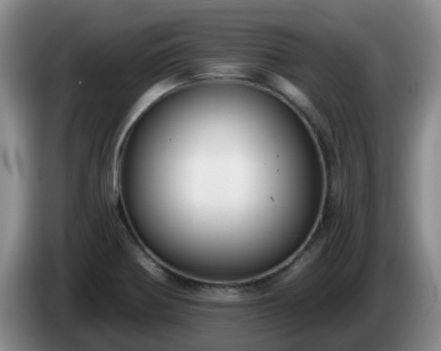 X0000085081370200703121654