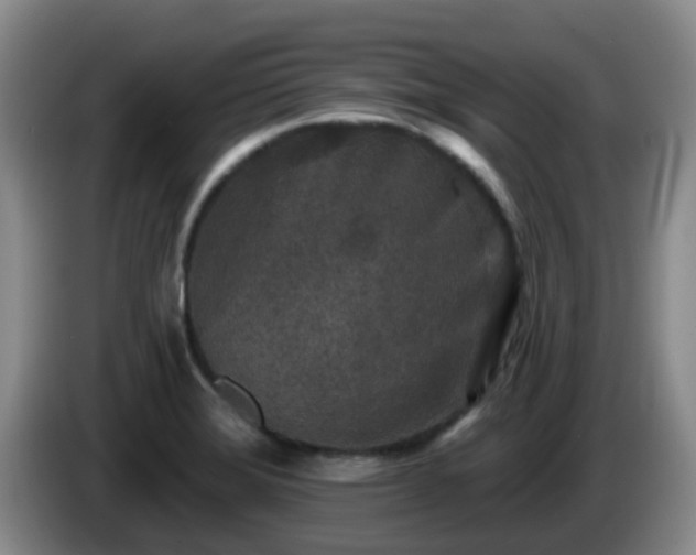 X0000085081372200703121654