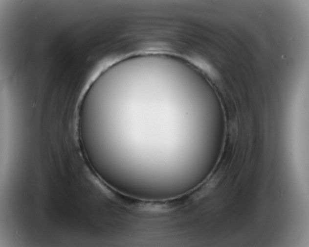 X0000085081374200703121654