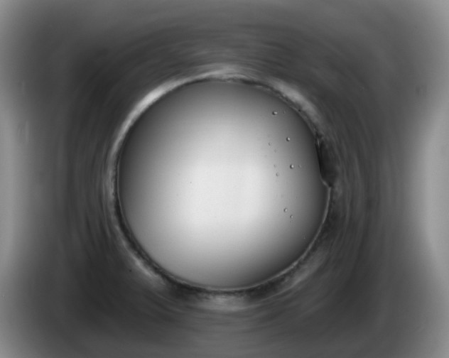 X0000085081375200703121654