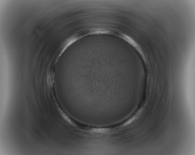 X0000085081377200703121654