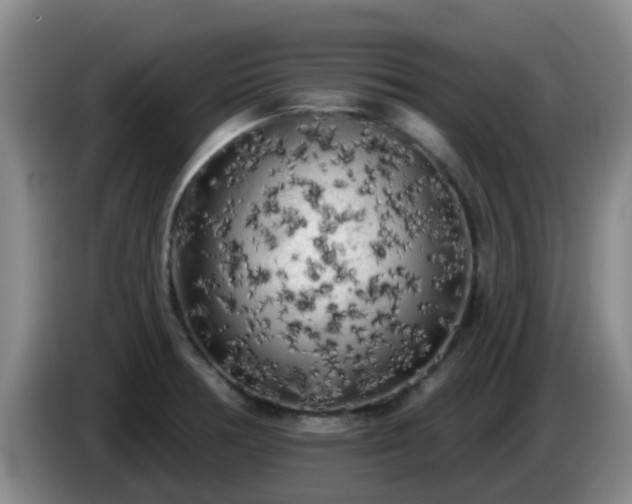 X0000085081378200703121654