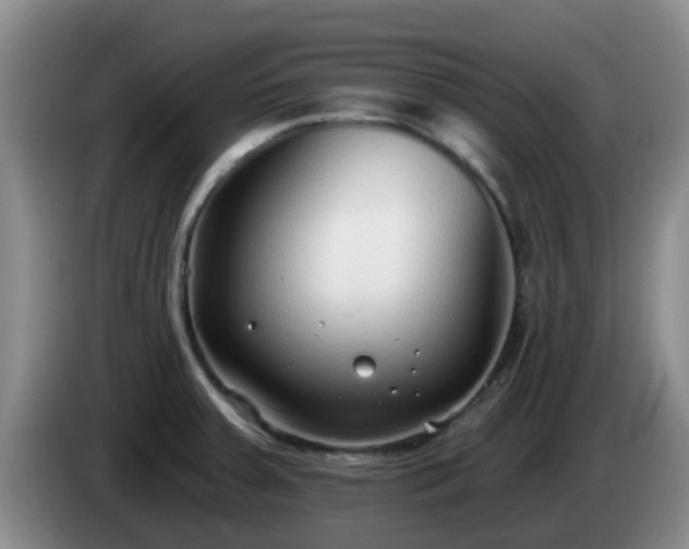 X0000085081379200703121654