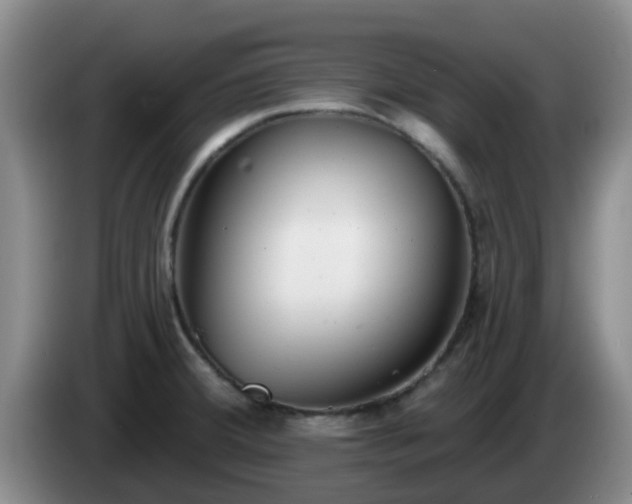 X0000085081380200703121654