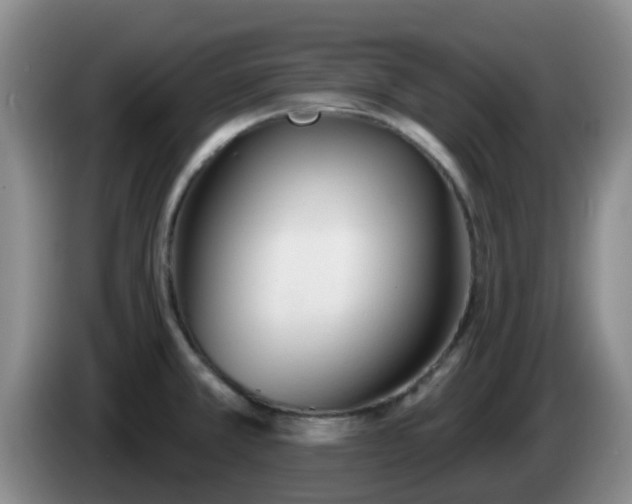 X0000085081381200703121654