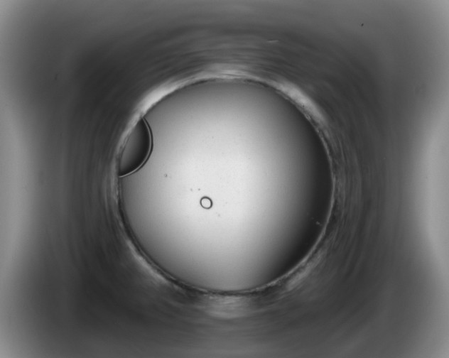 X0000085081382200703121654