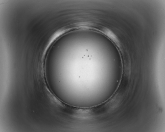 X0000085081384200703121654